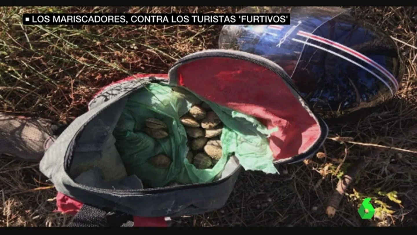 Las mariscadoras denuncian a los 'furtivos de bañador', los turistas que les roban el género en la Ría de Arousa Las mariscadoras denuncian a los 'furtivos de bañador', los turistas que les roban el género en la Ría de Arousa