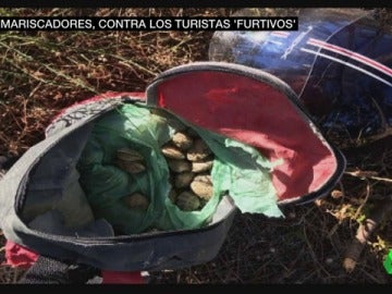 Las mariscadoras denuncian a los 'furtivos de bañador', los turistas que les roban el género en la Ría de Arousa Las mariscadoras denuncian a los 'furtivos de bañador', los turistas que les roban el género en la Ría de Arousa