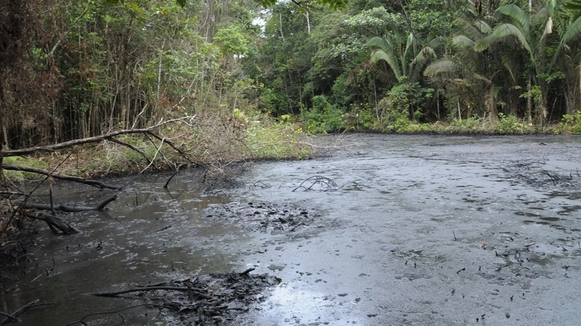 Amazonas contaminado
