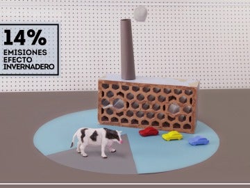 Datos de El Comidista TV Datos de El Comidista TV