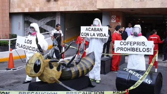 Unos manifestantes piden la prohibición de los plaguicidas Unos manifestantes piden la prohibición de los plaguicidas