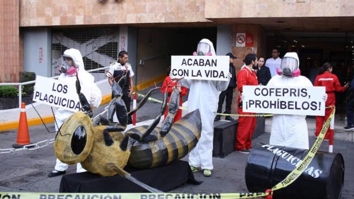 Unos manifestantes piden la prohibici&oacute;n de los plaguicidas
