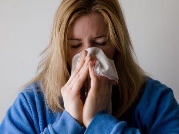 Un microbio intestinal podría proteger de las infecciones de la gripe Un microbio intestinal podría proteger de las infecciones de la gripe