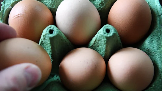 Los huevos contaminados han llegado a Rumanía Los huevos contaminados han llegado a Rumanía