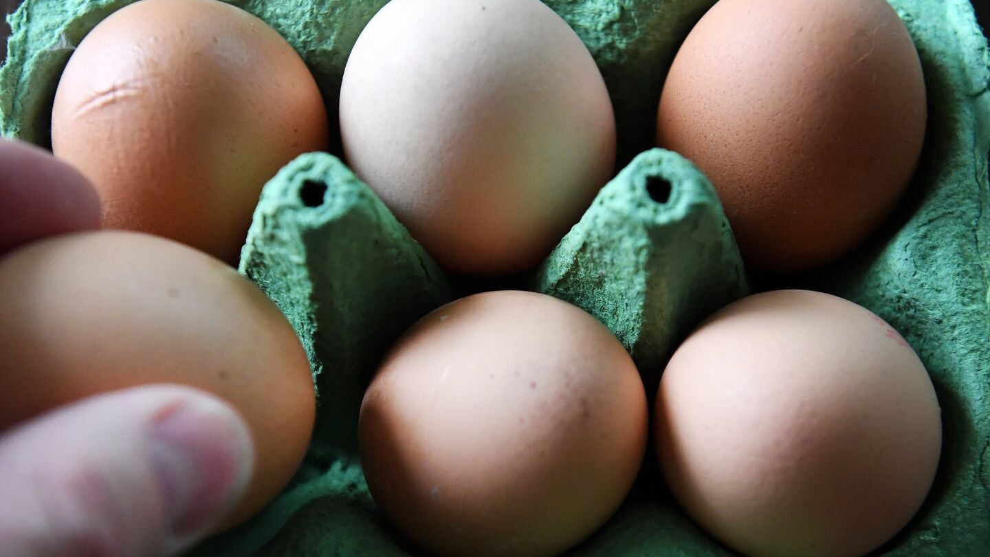 Los huevos contaminados han llegado a Ruman&iacute;a