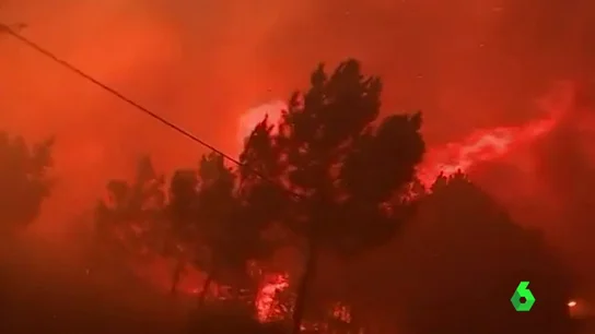 Uno de los incendios de Portugal Uno de los incendios de Portugal