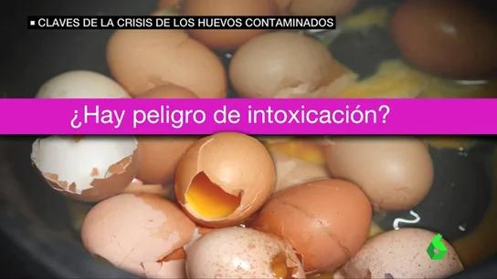 Claves de la crisis de los huevos contaminados Claves de la crisis de los huevos contaminados