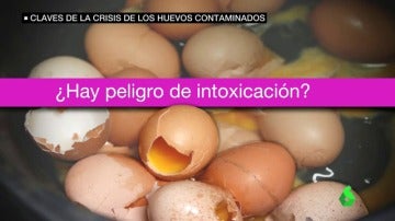 Claves de la crisis de los huevos contaminados