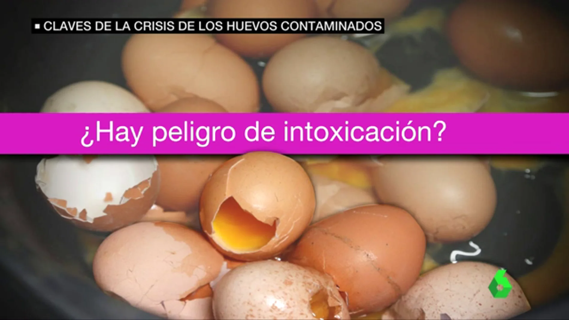 Claves de la crisis de los huevos contaminados