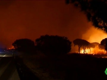 COMO ACTUAR INCENDIOS COMO ACTUAR INCENDIOS
