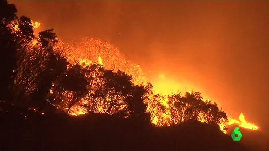 El incendio ha quemado 2.000 hectáreas  El incendio ha quemado 2.000 hectáreas