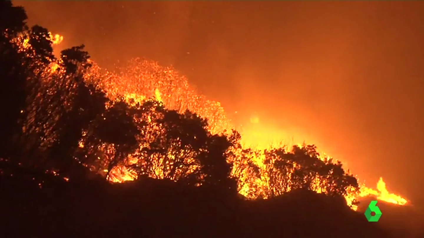 El incendio ha quemado 2.000 hectáreas El incendio ha quemado 2.000 hectáreas