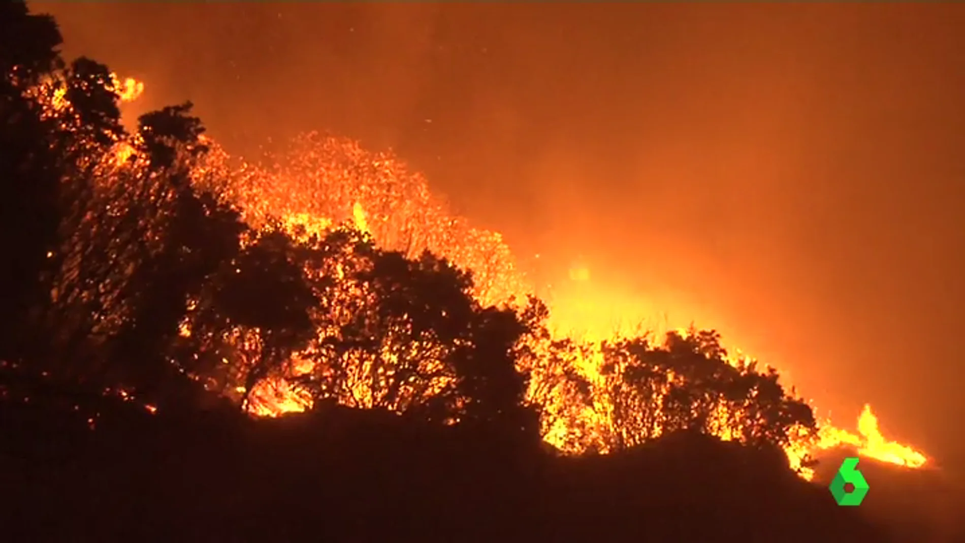 El incendio ha quemado 2.000 hectáreas 