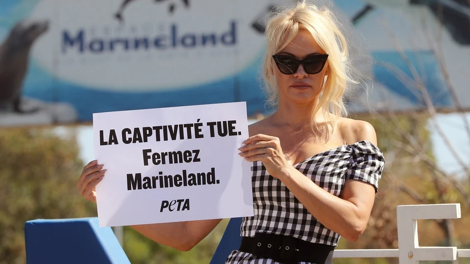 La actriz Pamela Anderson se manifiesta ante el parque marino Marineland