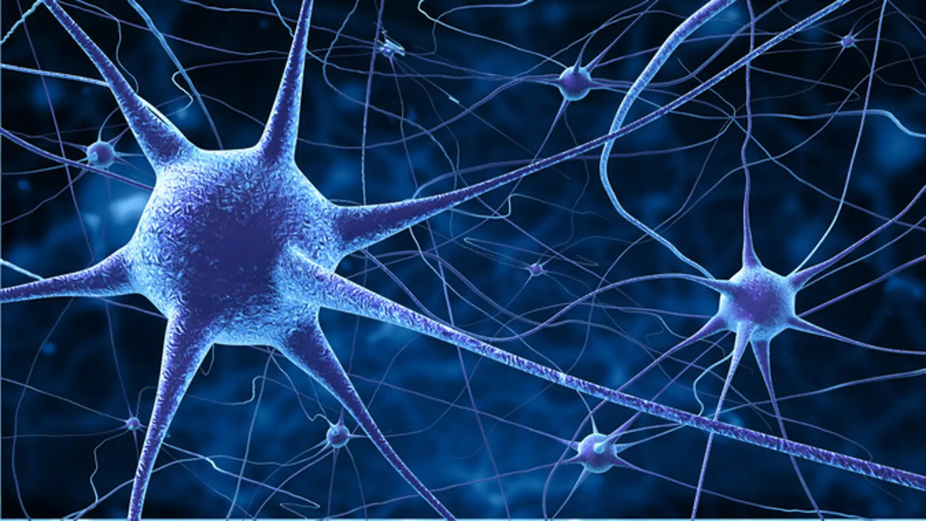 El grupo de neuronas que detecta la musica de las palabras