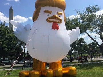 Trump Chicken, frente a la Casa Blanca Trump Chicken, frente a la Casa Blanca