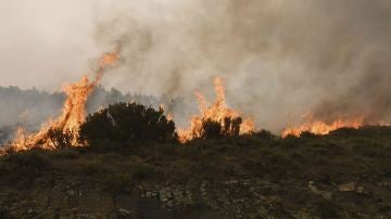 Incendio en Encinedo, León