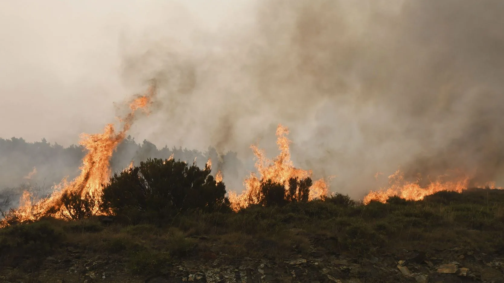 Incendio en Encinedo, León