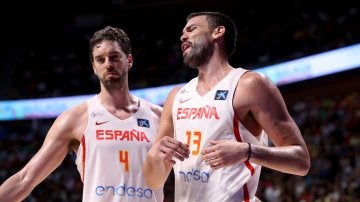 Los hermanos gasol jugando