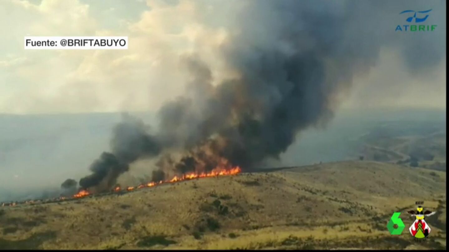 Incendio forestal en Zamora