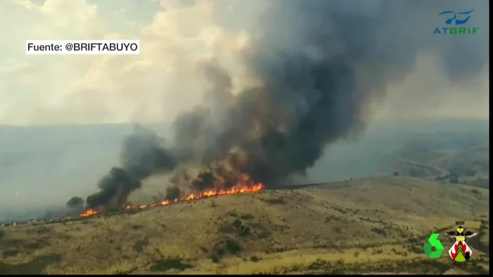 Incendio forestal en Zamora