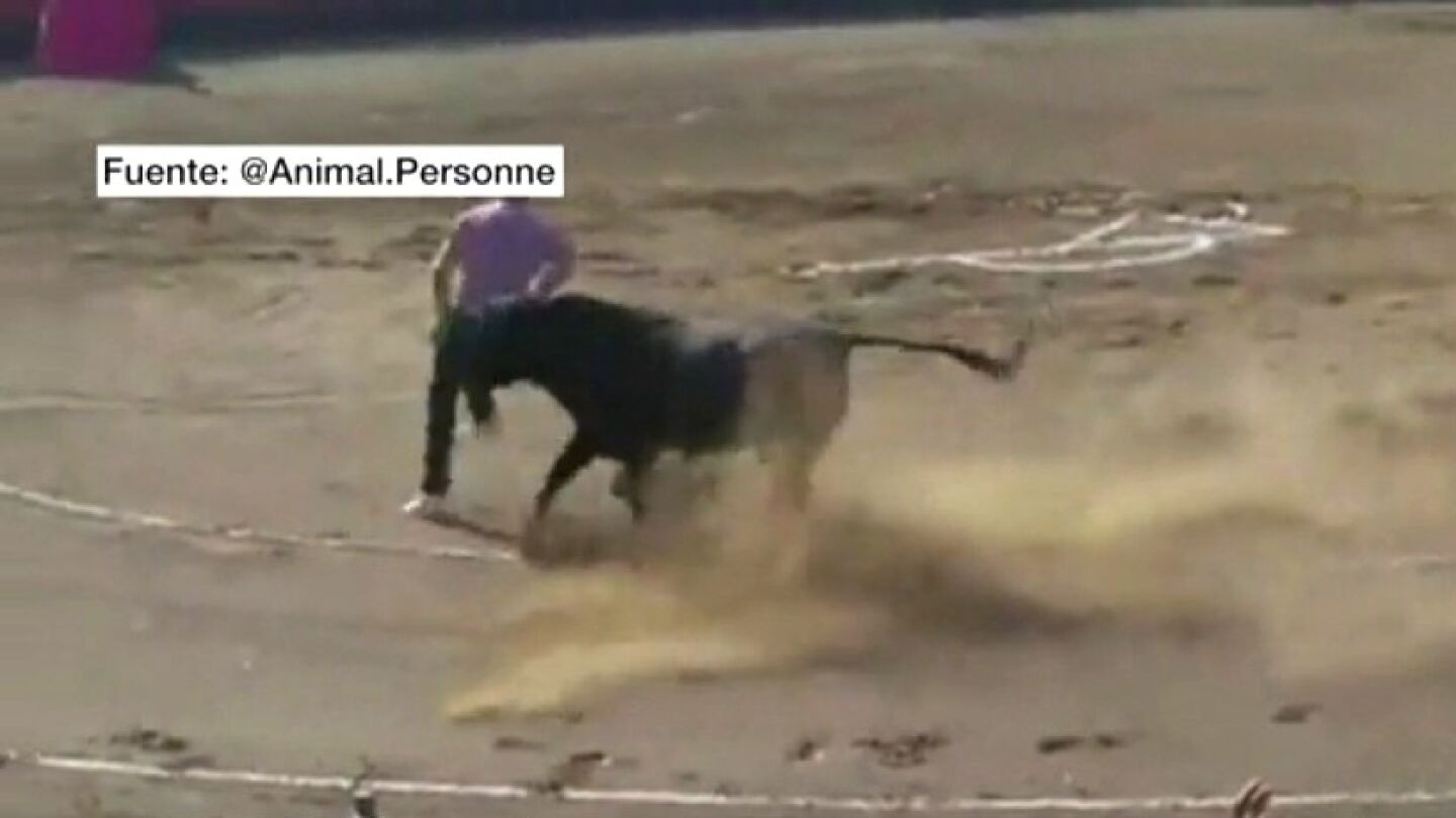 Un miura embiste a un antitaurino