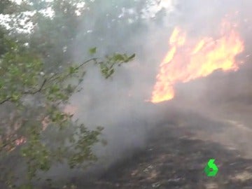 Activo un incendio en Lleida que obliga a desalojar varias masías Activo un incendio en Lleida que obliga a desalojar varias masías