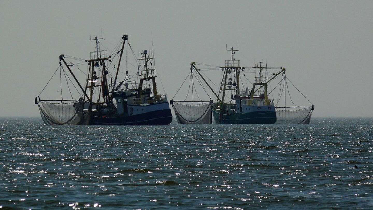 Barcos pesqueros