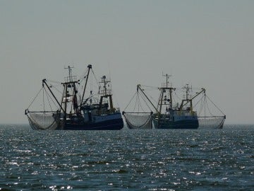 Barcos pesqueros Barcos pesqueros
