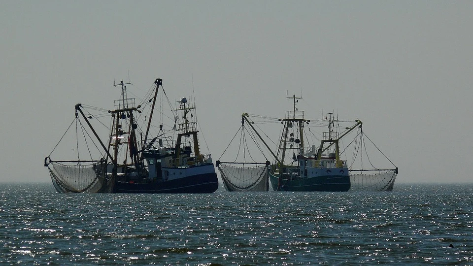 Barcos pesqueros