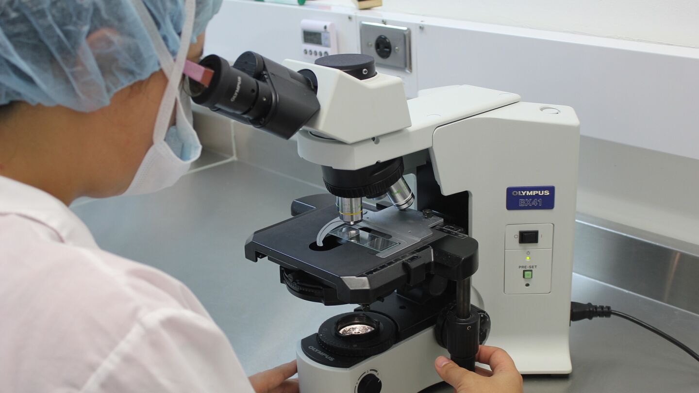 Cient&iacute;fico investigando