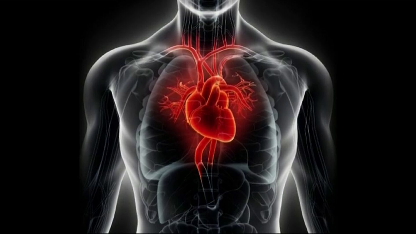 Imagen de un coraz&oacute;n