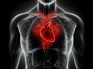 Imagen de un corazón Imagen de un corazón