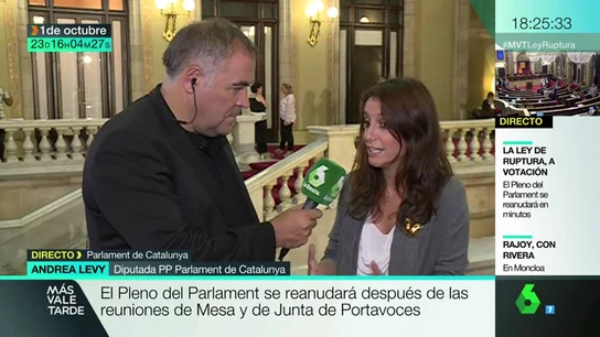 LEVY LEVY
