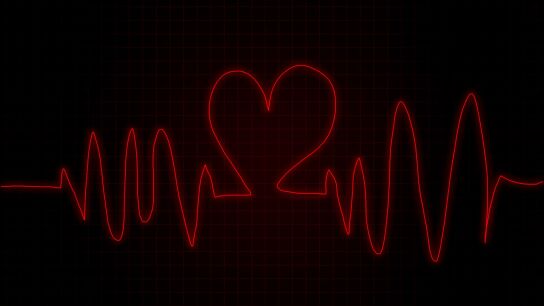 &iquest;Por qu&eacute; el coraz&oacute;n se forma en el lado izquierdo del cuerpo?