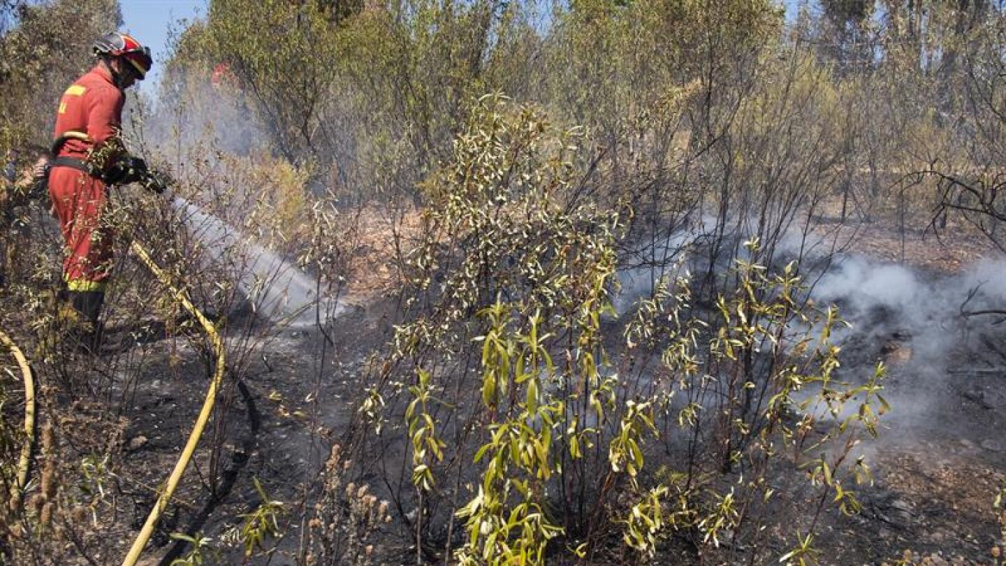 Los bomberos trabajan para apagar el incendio de Sevilla