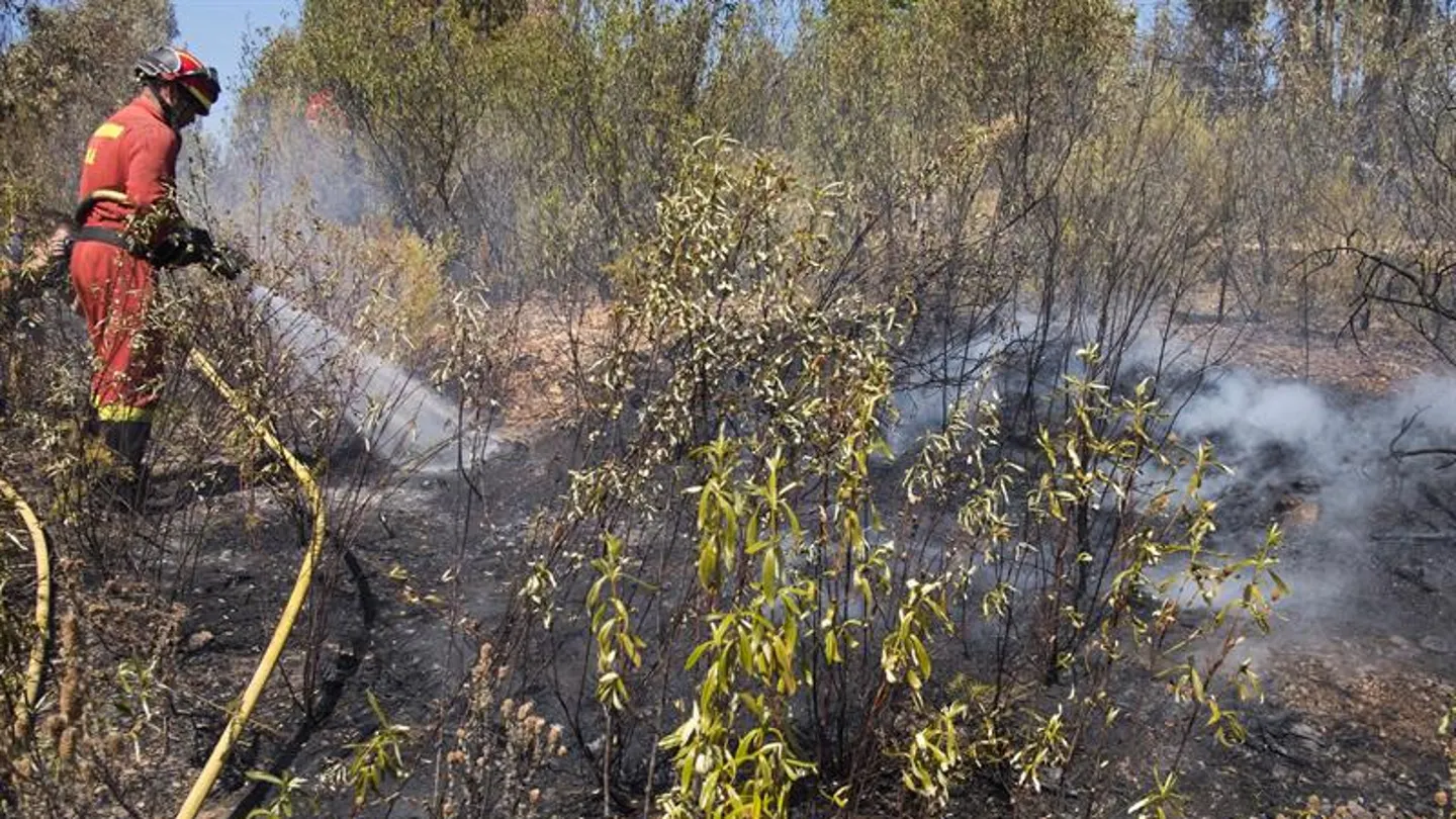 Los bomberos trabajan para apagar el incendio de Sevilla Los bomberos trabajan para apagar el incendio de Sevilla