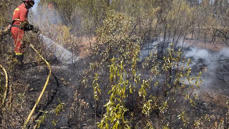 Los bomberos trabajan para apagar el incendio de Sevilla