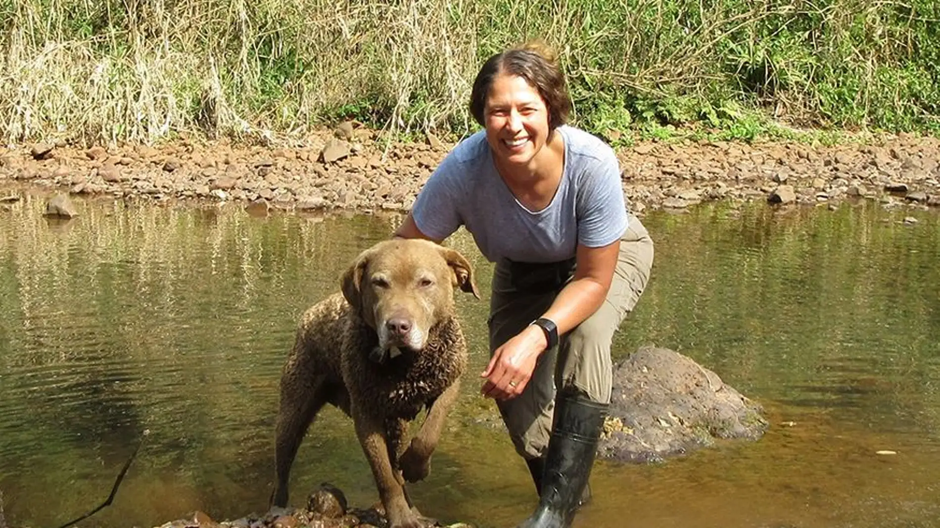 Perros y cientificos colaboran para salvar a los carnivoros amenazados