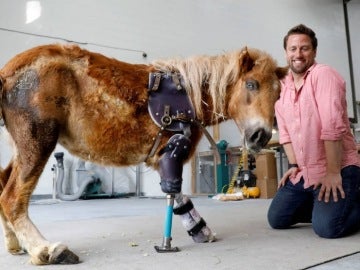 Derrick Campana junto a un poni con una prótesis Derrick Campana junto a un poni con una prótesis