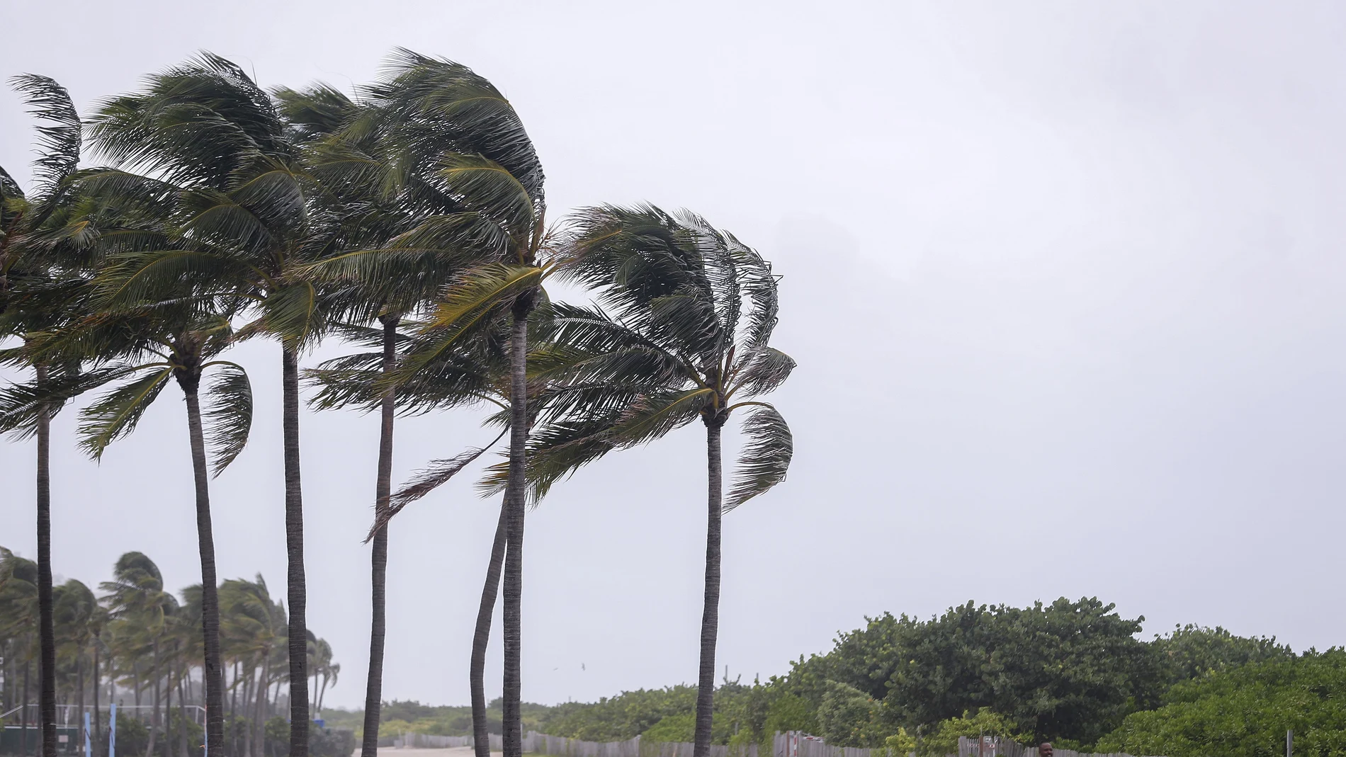 El huracán Irma llega a Florida