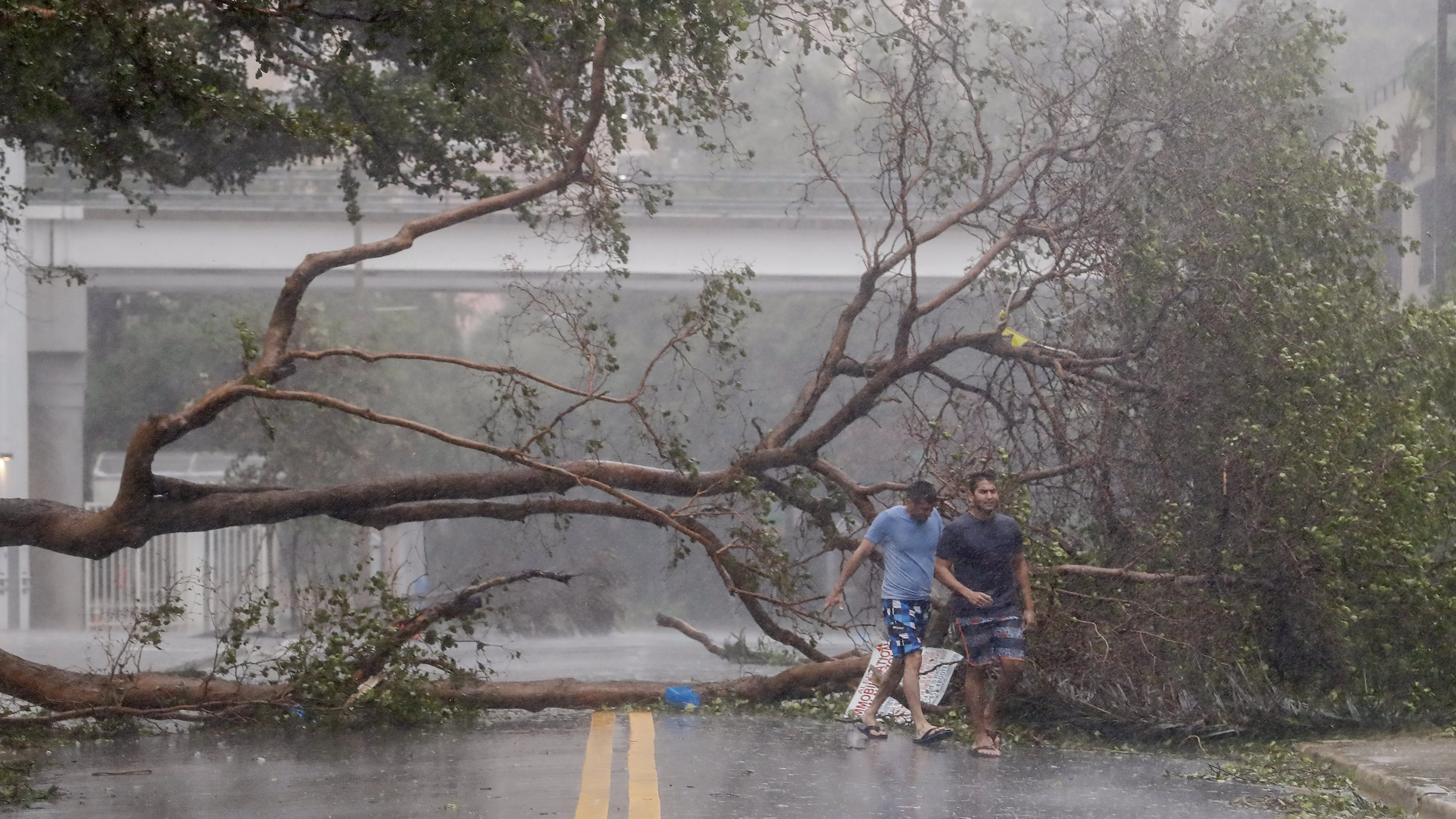 El huracán Irma se acerca a Tampa en su avance hacia el norte de Florida 