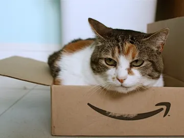 Cuidado con las reseñas de Amazon, a veces hay gato encerrado Cuidado con las reseñas de Amazon, a veces hay gato encerrado