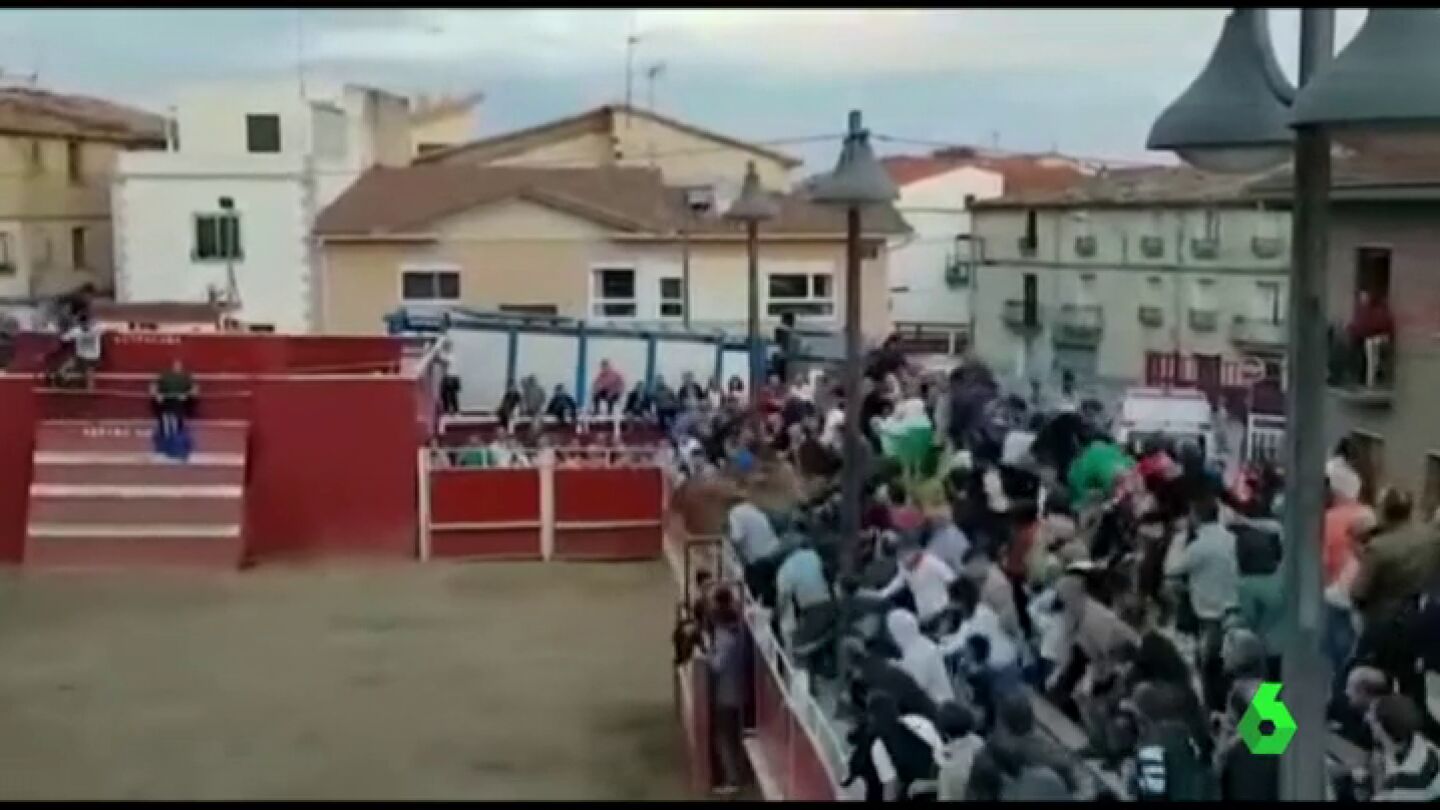 Dos vaquillas saltan a la grada provocando el p&aacute;nico entre los asistentes en las fiestas de Santacara, Navarra