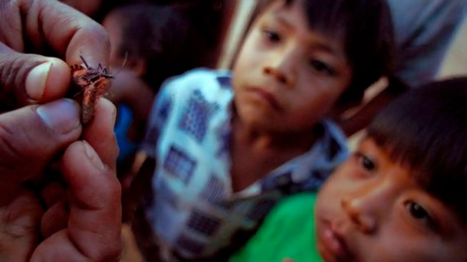 Posibles biomarcadores de pronostico para la enfermedad de Chagas