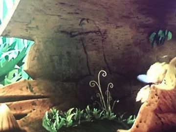 El 'pene' que aparece en el episodio de 'La Abeja Maya' El 'pene' que aparece en el episodio de 'La Abeja Maya'