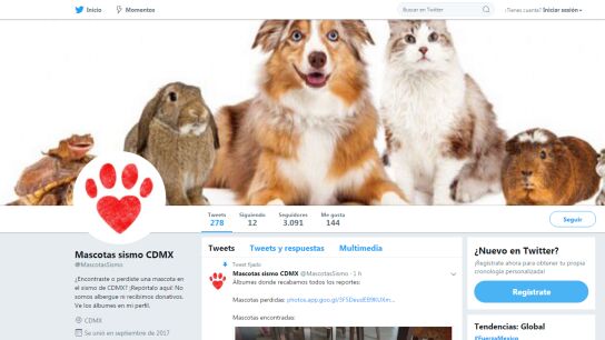@MascotasSismo, la cuenta que actualiza a tiempo real las mascotas desaparecidas y encontradas durante el terremoto de M&eacute;xico 