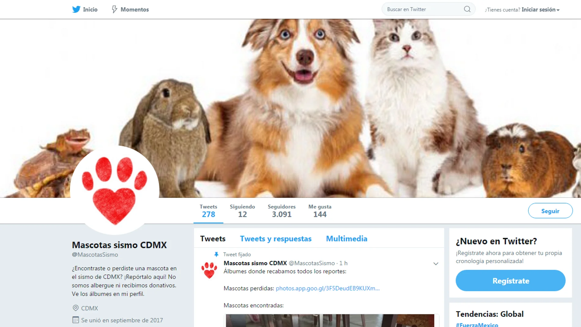 @MascotasSismo, la cuenta que actualiza a tiempo real las mascotas desaparecidas y encontradas durante el terremoto de México 