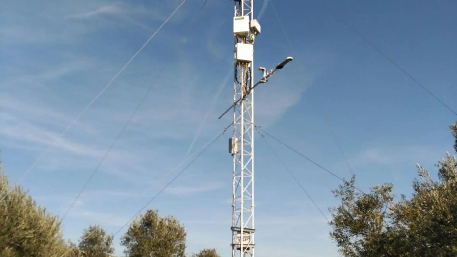 La hierba del suelo del olivar aumenta la capacidad del ecosistema como sumidero de CO2