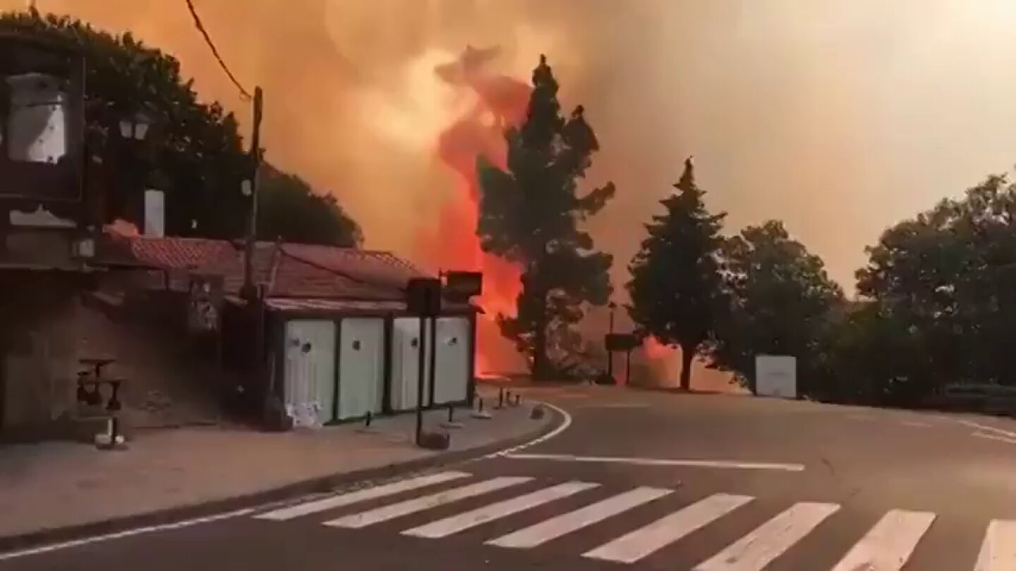 Siguen sin control el incendio de Gran Canaria, con 800 desalojados y 2.000 hect&aacute;reas calcinadas